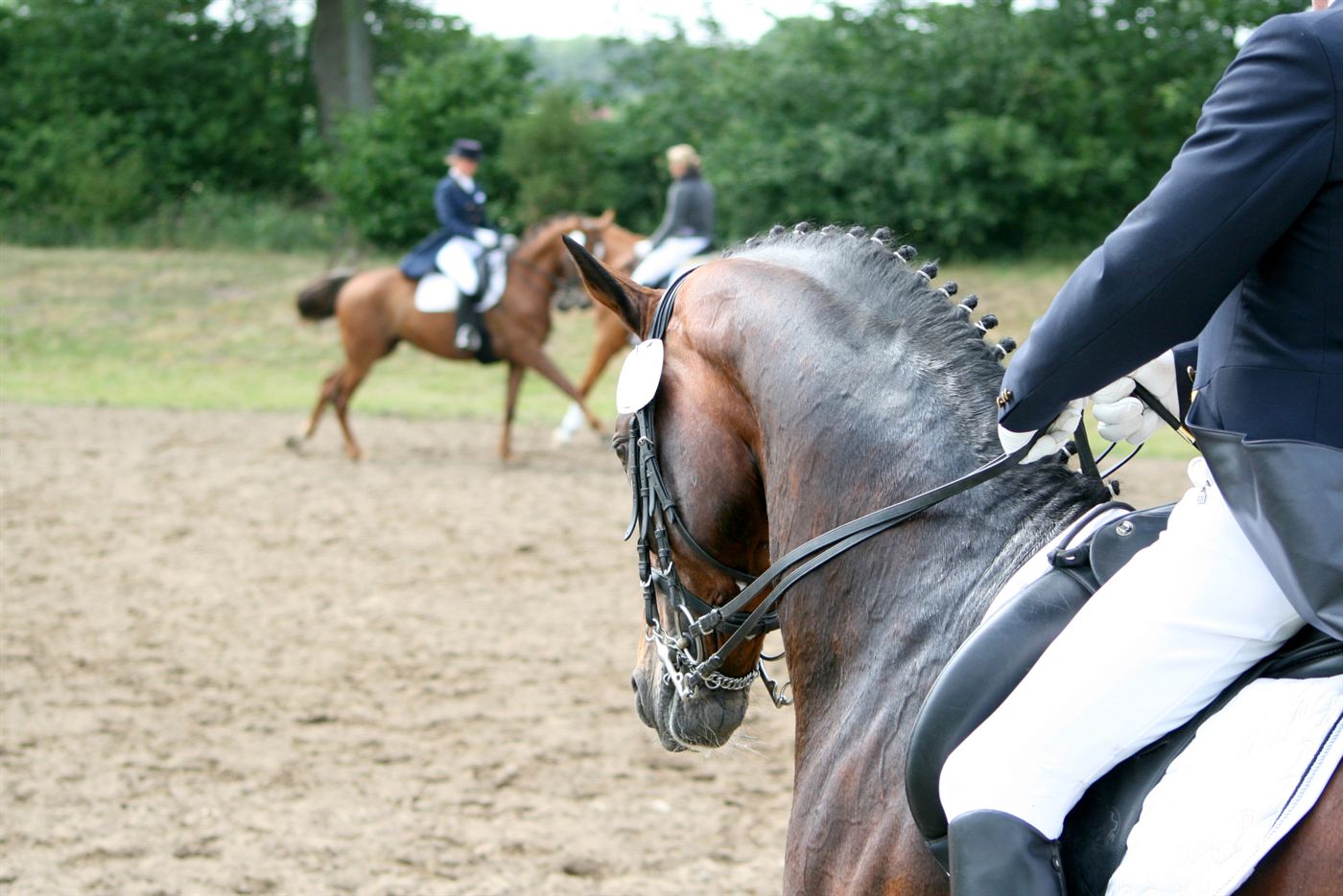 Dressurreiter auf Pferd — erweiterter Versicherungsschutz für Sportpferde