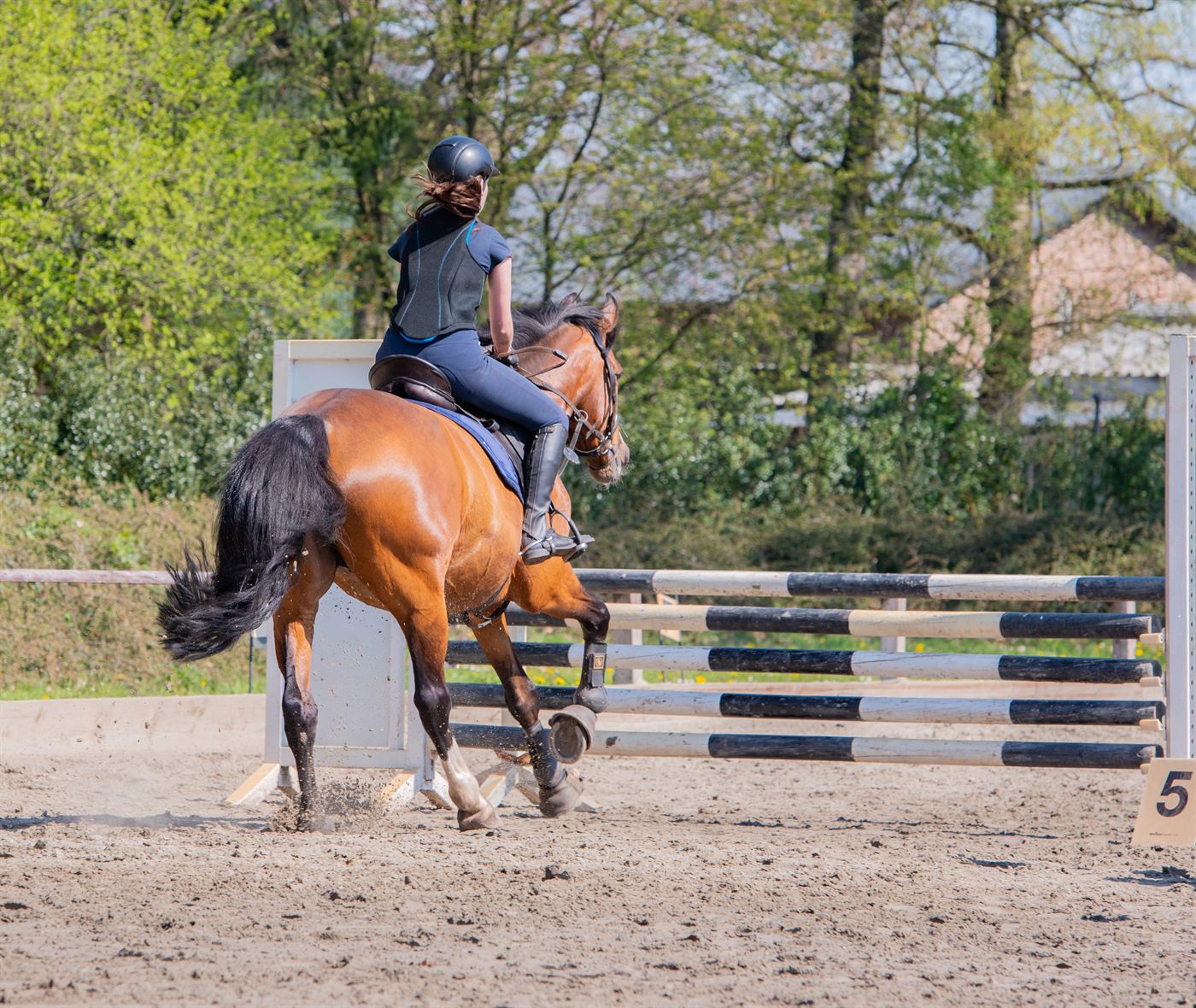 Pferd und Reiterin im Springparcours — Sportpferde haben erhöhtes Verletzungsrisiko, OP-Versicherung deckt Operationen je nach Tarif